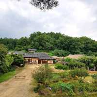 외나무 다리가 매력적인 영주 <무섬마을>