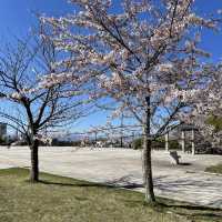 北海道函館市　元町公園