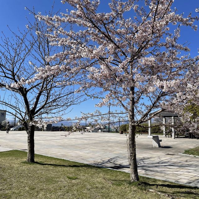 北海道函館市　元町公園