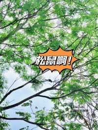 走進童話世界