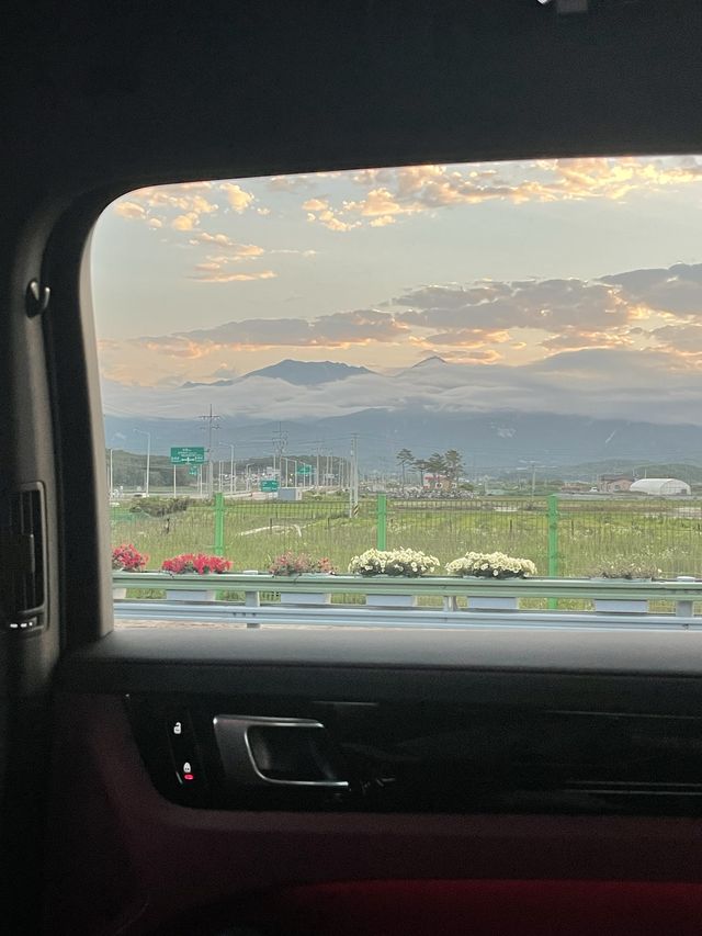 한국의 알프스 초원 평창 “청옥산 육백마지기” 🕊