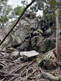 A breathtaking view  ~Bukit Batu Putih~