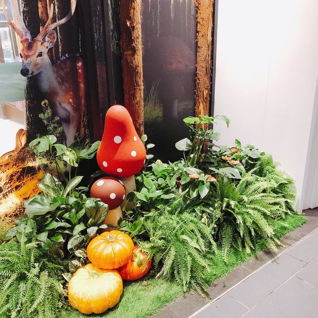 🌳大人小孩都愛來🎃CITYLINK Nangang Store CITYLINK南港店