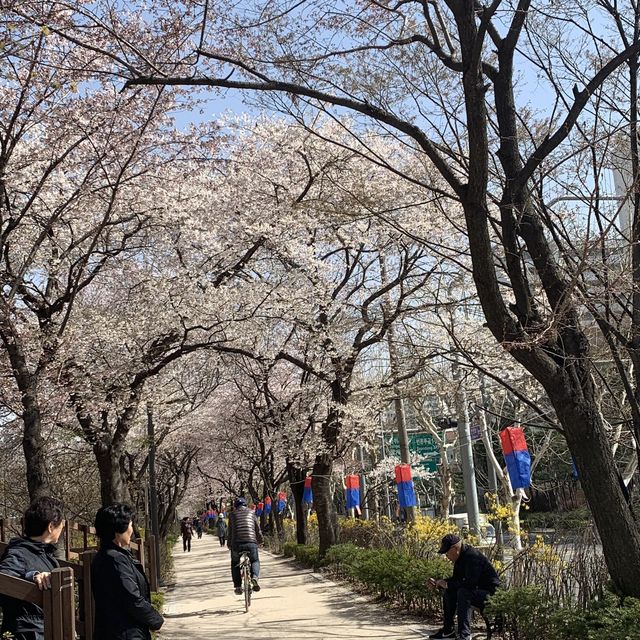 석촌호수만 핫플이랴! 중랑천도 핫플이다!