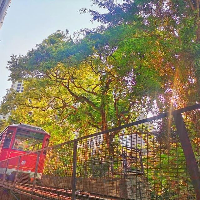 Relaxing and recharging with Tram view cafe 