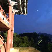 충남 공주 야경 명소 공산성 ✨