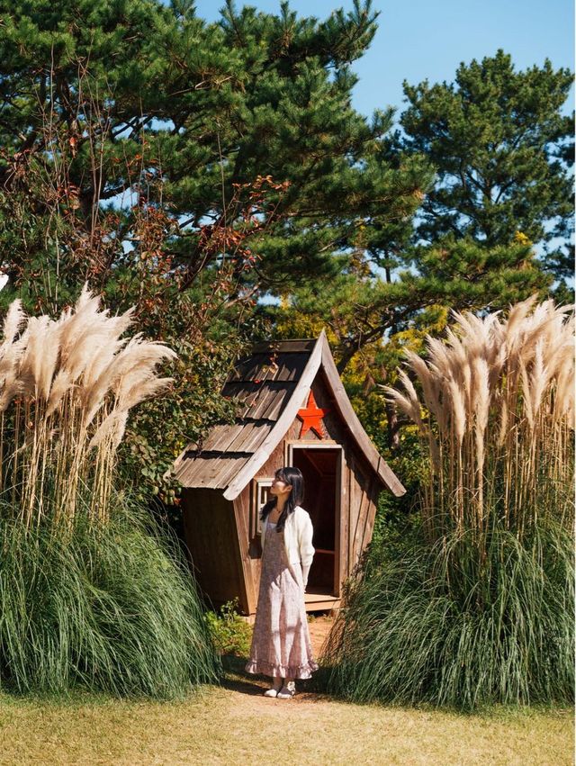 태안 가을 필수 여행지🌾