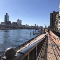 【隅田川】春のウララでなくても…zzz