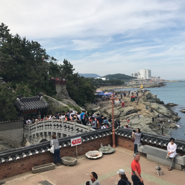 釜山的鬼斧神工-海東龍宮寺