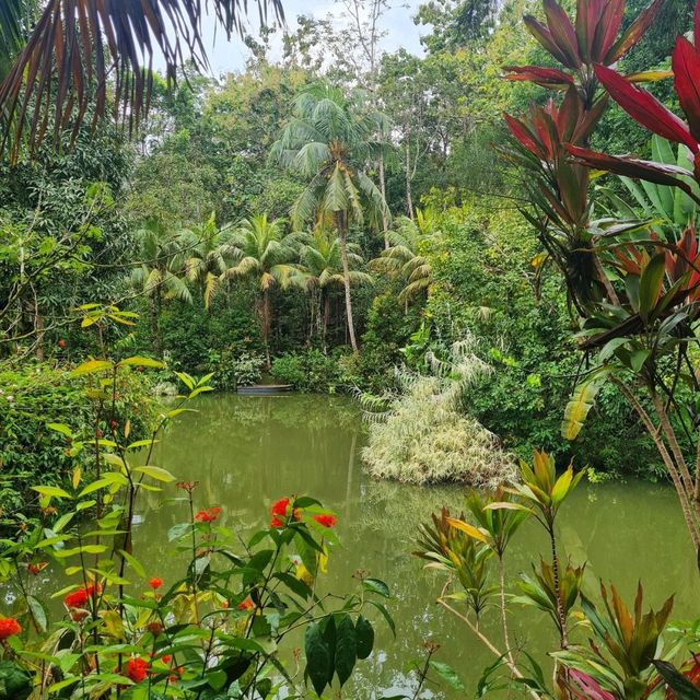 Sepilok jungle resort 