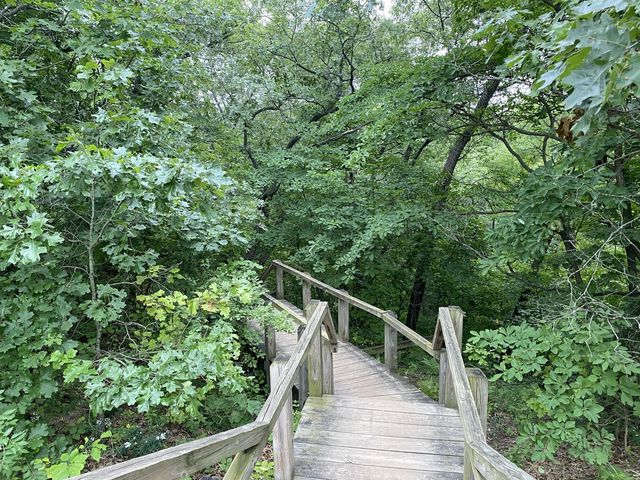 Trail 4 - Indiana Dunes State Park 