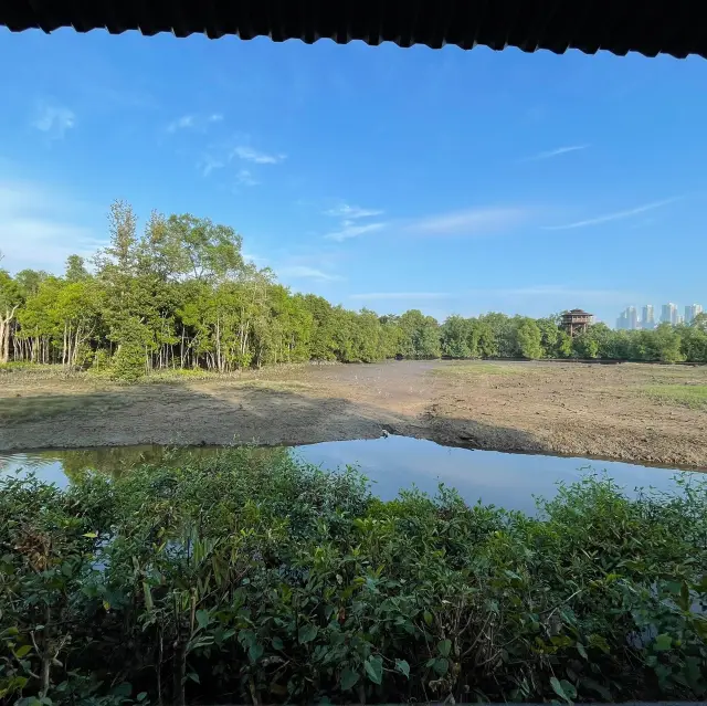 Sungei Buloh Wetland Reserve Singapore trip