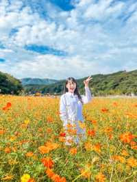 꽃잔치가 열린 상림공원💜