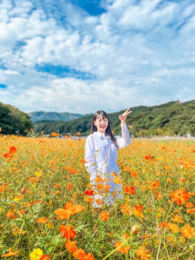 꽃잔치가 열린 상림공원💜