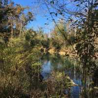 Hinson Conservation & Recreation Area