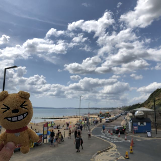 따뜻하다 못해 뜨거운 열기 현장, 본머스 비치🏖️