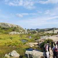 Norway 「The Pulpit Rock」