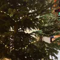 Magical Christmas streets in Vienna 
