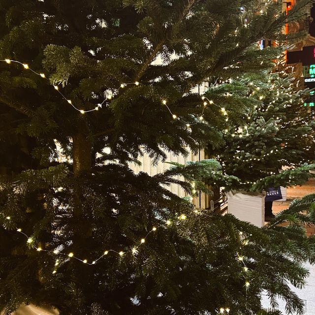 Magical Christmas streets in Vienna 