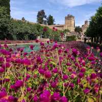 The Palace of Cordoba 