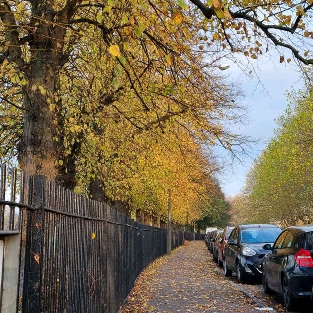 Fall in London  🍂 