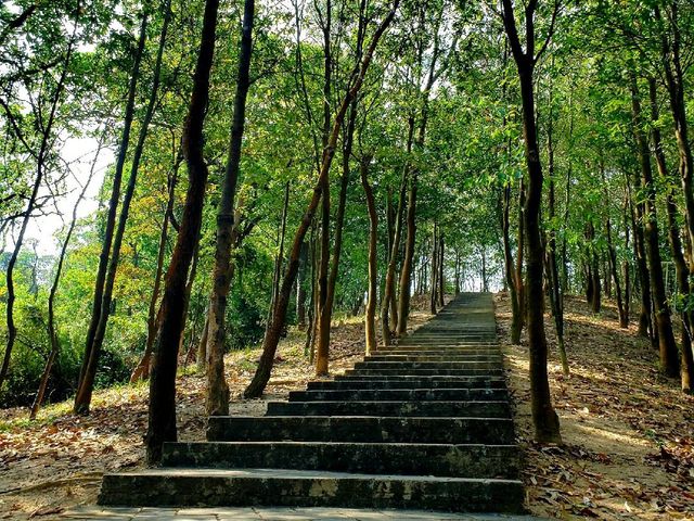 Yunti Mountain ⛰ | Stairway to Paradise!