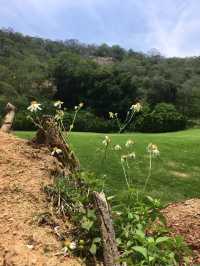 Hiking at Dongping Mountain - Xiamen