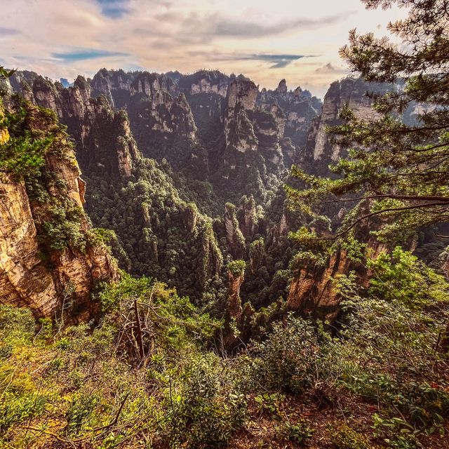 Zhangjiajie National Forest Park