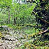 Lakes, grasslands and yaks