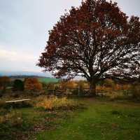 Get out into nature