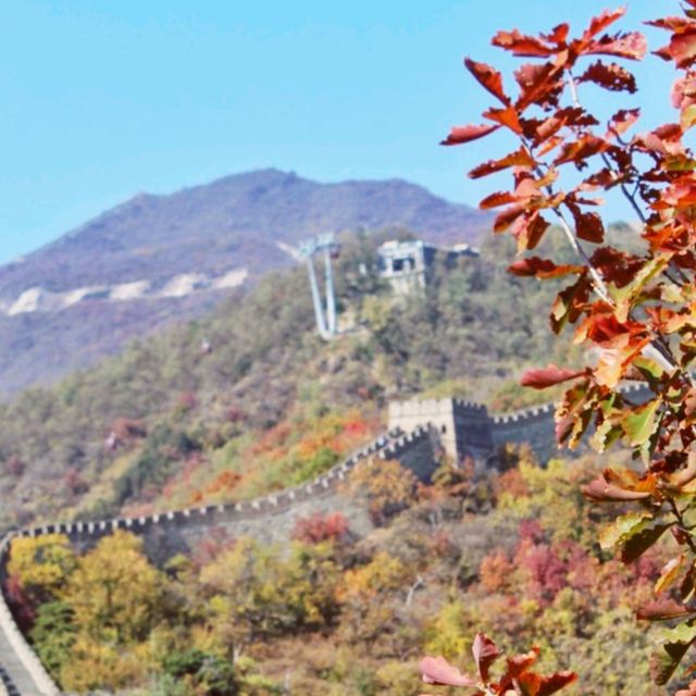 Great Wall in Beijing's Golden Autumn 