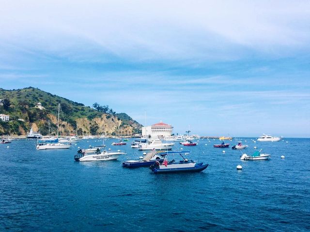 Los Angeles' backyard - Santa Catalina Island.