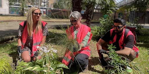 Rooted Gardening Club | Hercules Road