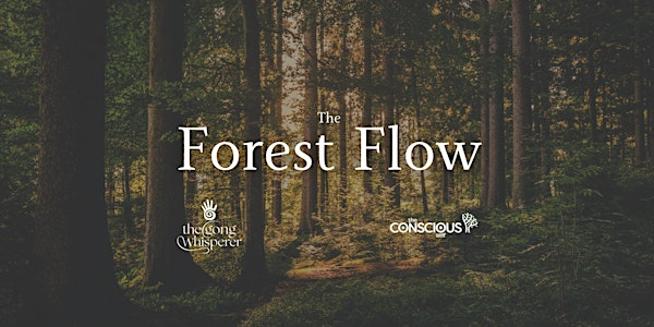 The Forest Flow Summer Special 27th of July | Hamsterley Forest