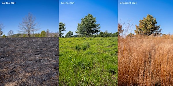 Tallgrass Prairie Restoration in the Rice Lake Plains | 560 Red Cloud School Rd