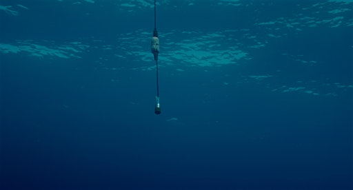 The Sea: Short Film Programme + Panel Discussion | Abertay cyberQuarter