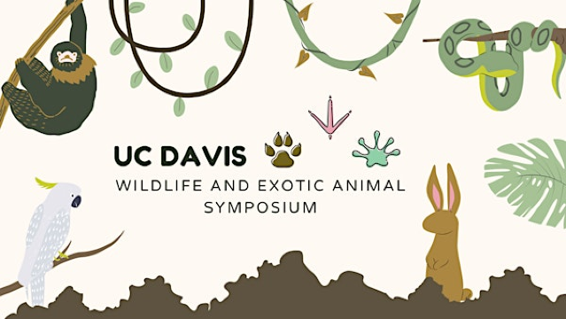 41st Annual WAAM/AEMC Wildlife and Exotic Animal Symposium | Gladys Valley Hall