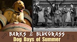 Barks & Bluegrass - Dog Days of Summer Wine Down | Holy Hill Art Farm