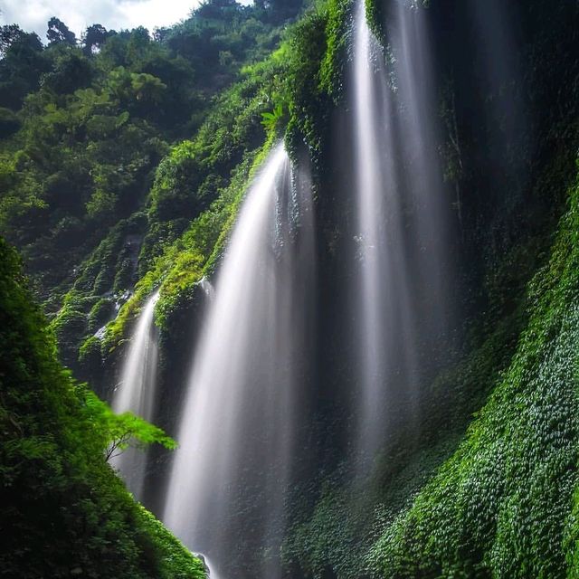 MADAKARIPURA WATERFALL : PROBOLINGGO