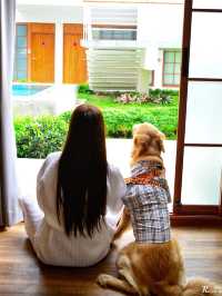 ที่พักน้องหมาพักได้ เชียงใหม่