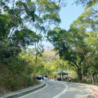 市區超級方便既行山路徑.獅子山