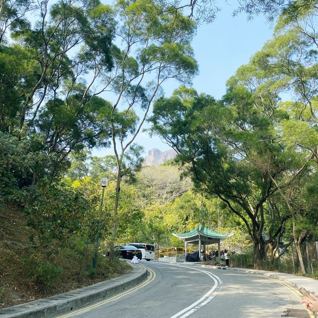市區超級方便既行山路徑.獅子山