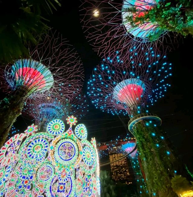 Garden by the Bay - Christmas Wonderland