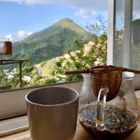 【台灣九份 野事草店】品茶感受山靈之氣 ｜觀賞落日｜洗滌心靈之旅