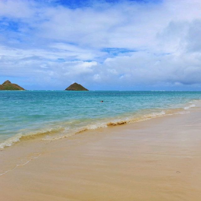 Tropical island fun