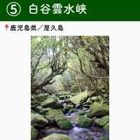 【鹿児島】行ってよかった屋久島の観光地6選