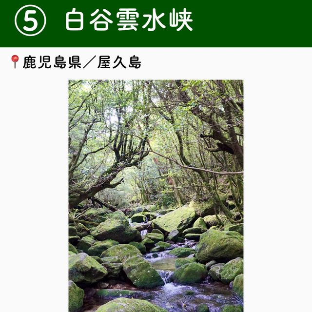 【鹿児島】行ってよかった屋久島の観光地6選
