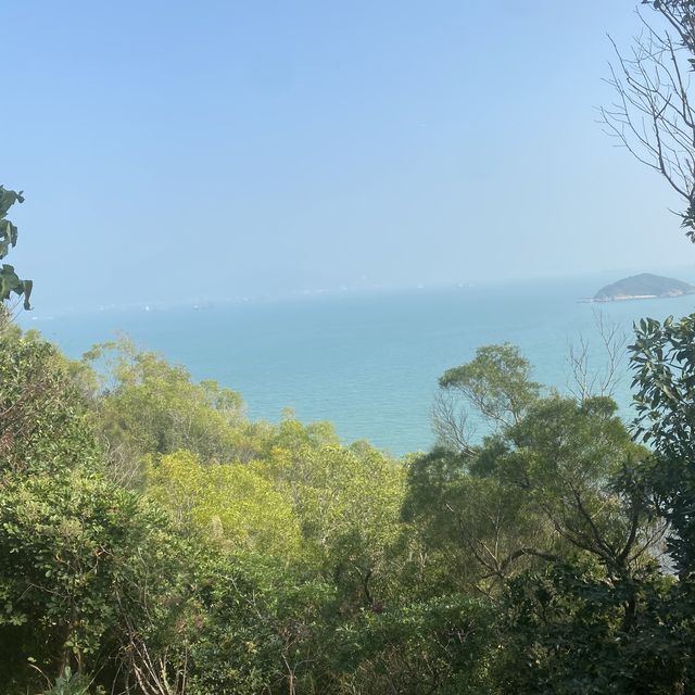坪洲必行路線