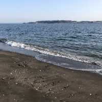 【神奈川】無人島・猿島探検！