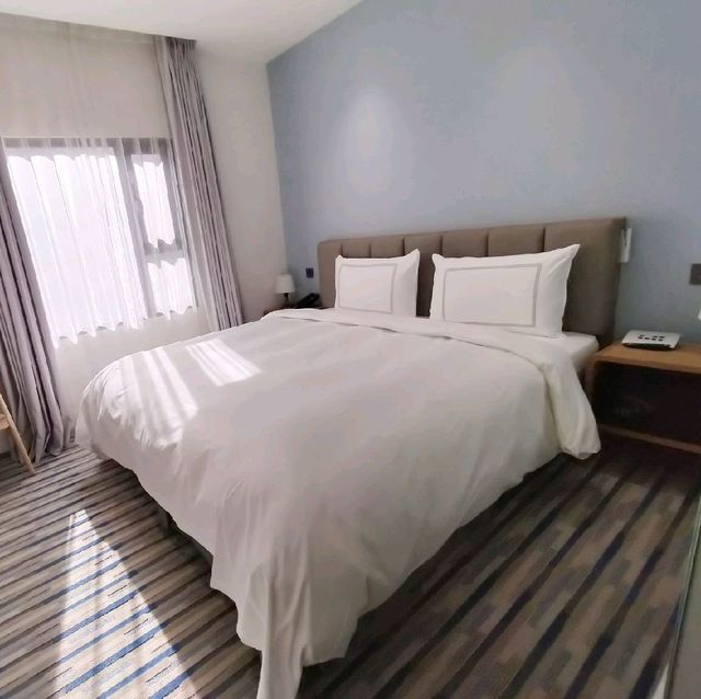 8200坪台中最新、最大的親子飯店，台中鳳凰酒店
